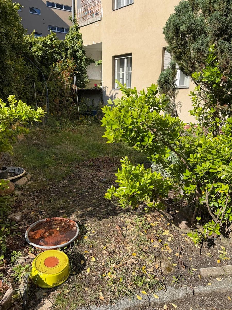 Zugewachsene, ungenutzte Gartenecke vor den Arbeiten